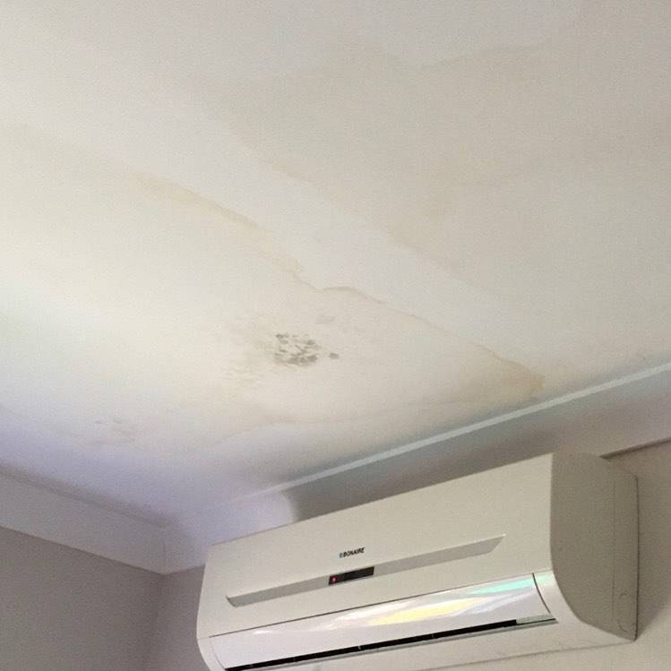 example of roof leak